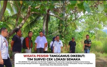 Dorong Modernisasi Pesisir, Dinas Perikanan Tanggamus Cek Kesiapan Kampung Nelayan Merah Putih Di Semaka Dan Pematang Sawa 4 Dorong Modernisasi Pesisir, Dinas Perikanan Tanggamus Cek Kesiapan Kampung Nelayan Merah Putih Di Semaka Dan Pematang Sawa