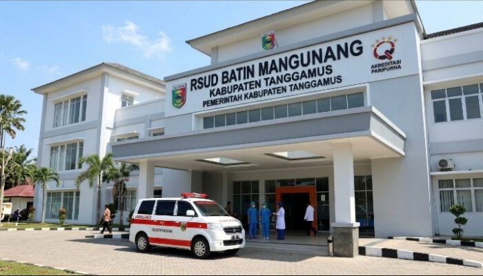 Peningkatan Mutu Pelayanan Dan Inovasi Fasilitas Kesehatan Rsud Batin Mangunang Kabupaten Tanggamus