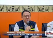 Rsud Alamsyah Ratu Perwiranegara Ditetapkan Sebagai Rujukan Tertinggi Tanggap Bencana Krakatau Di Lampung