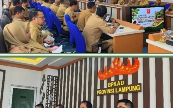 Kawal Optimalisasi Anggaran, Kepala Bkad Lampung Barat Sumadi Hadiri Evaluasi Raperda Perubahan Apbd 2026 Di Provinsi